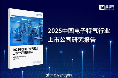 2025中國電子特氣行業(yè)上市公司研究報(bào)告 技術(shù)開發(fā)及技術(shù)咨詢領(lǐng)域深度剖析