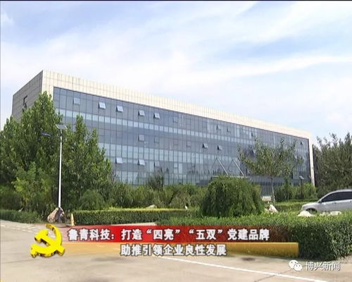 魯青科技 打造“四亮五雙”黨建品牌，以技術(shù)開發(fā)與咨詢助推企業(yè)引領(lǐng)良好循環(huán)